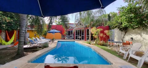 Garden, Swimming pool