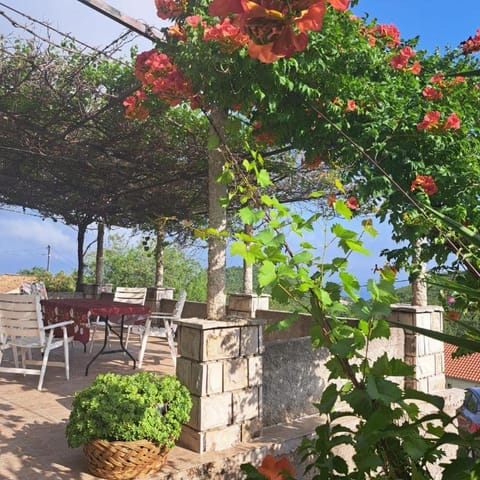 Holiday house Bore House in Dubrovnik-Neretva County