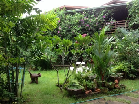 Garden, Area and facilities