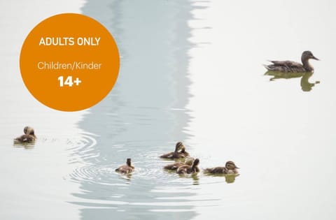 Natural landscape, Text overlay