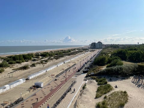 Beach, Sea view, Location