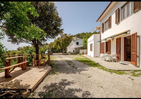 Property building, Garden view
