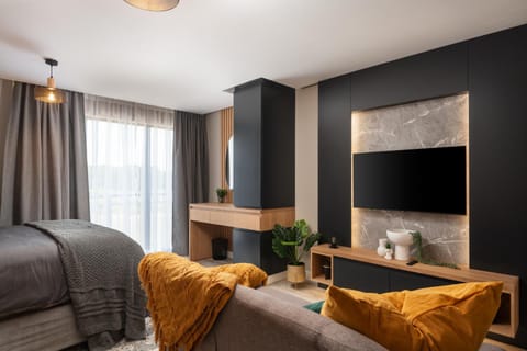 Bed, TV and multimedia, Seating area