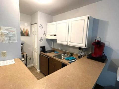 Deluxe Mountain Fox Suite Jiminy Peak - Ski On Off - Fully Redone Decor Apartment in Lanesborough