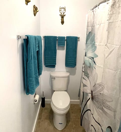 Deluxe Mountain Fox Suite Jiminy Peak - Ski On Off - Fully Redone Decor Apartment in Lanesborough