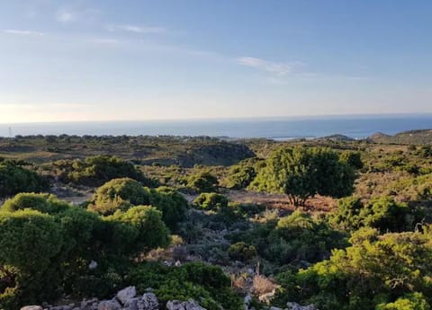 Damianakis Village Rethymno Farm Stay in Crete