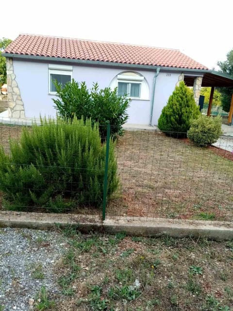 Property building, Spring, Day, Garden view