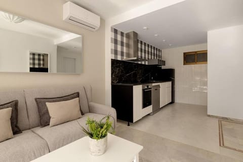 Kitchen or kitchenette, Living room, Seating area, Dining area, oven, stove, air conditioner