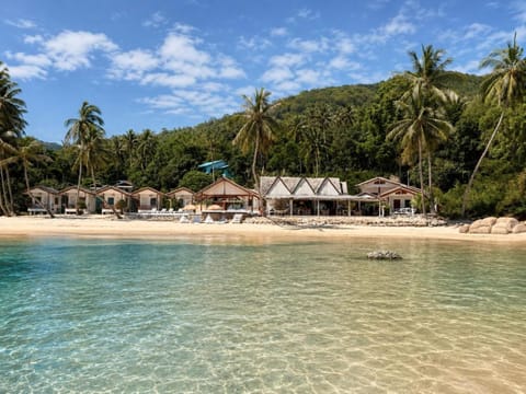 Day, Natural landscape, View (from property/room), Beach, Sea view, sunbed