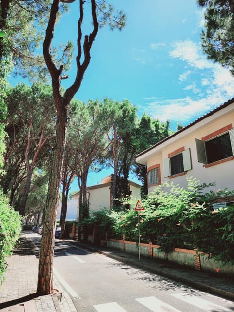 Property building, Neighbourhood, Natural landscape
