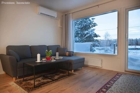 Saimaan Kodikas Premium House in Finland