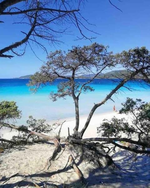 Casa Leonarda Apartment in Olmedo, Sardinia