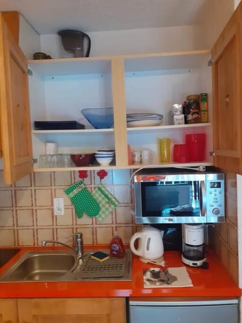 Studio cabine au cœur de la montagne Les Memises Cabin in Haute-Savoie