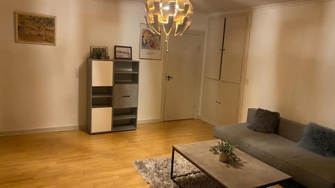 Central Copenhagen Apartment Apartment in Copenhagen