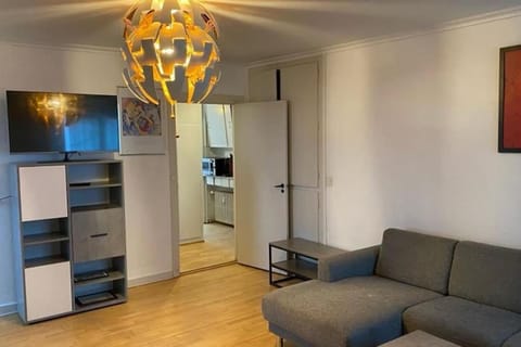 Central Copenhagen Apartment Apartment in Copenhagen