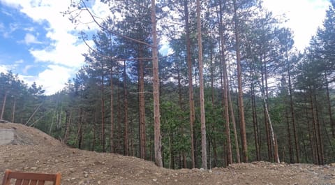 Leona B-1 apartman Živojinović Apartment in Zlatibor District, Serbia