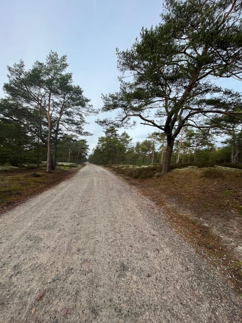 Neighbourhood, Natural landscape