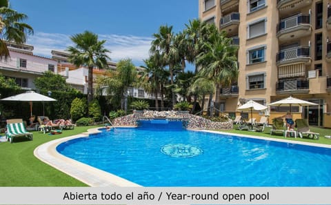 Garden, Swimming pool