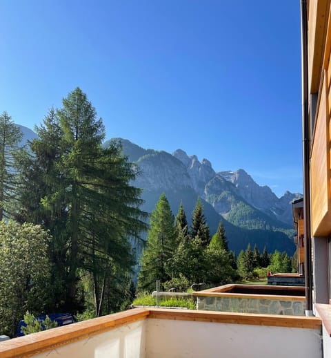 Appartamento - Residence I Larici Apartment in Trentino-South Tyrol
