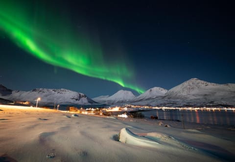 Night, Winter