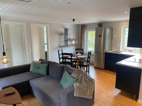 Communal lounge/ TV room, TV and multimedia, kitchen