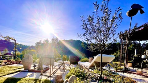 Natural landscape, Garden, Garden view