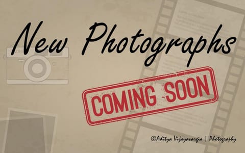 By Lushlets - Hen, Stag, Rugby, & Group Accommodation caters for 60 plus guests ask! Apartment in Cardiff