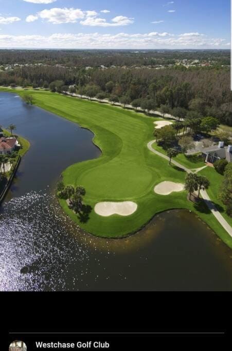 Vacational, private heated pool house House in Citrus Park