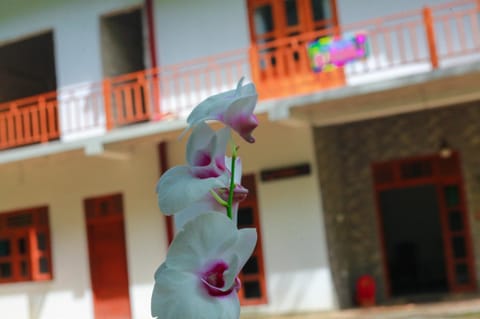 Property building, View (from property/room), Balcony/Terrace