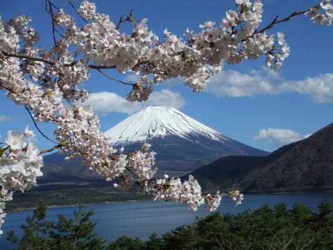 Spring, Natural landscape, Lake view, Mountain view