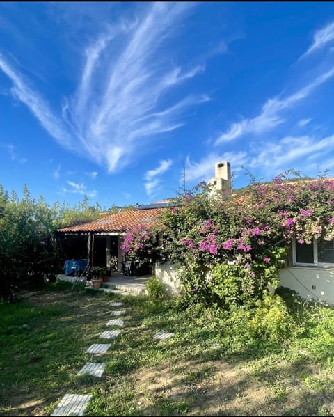 Property building, Garden, Garden, Garden view