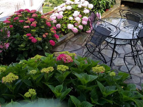 Day, View (from property/room), Garden view