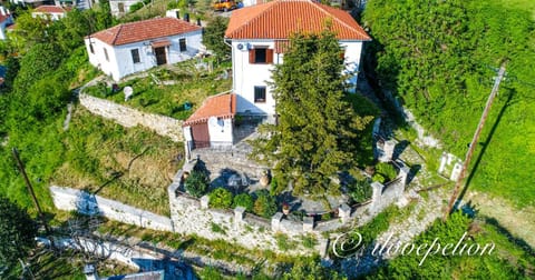 Property building, Spring, Natural landscape, Garden, Garden view