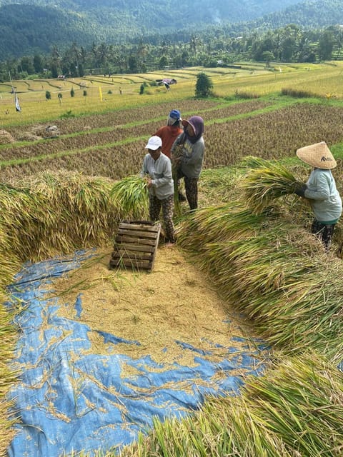 MAYURA BALI VILLA Hotel in Bali