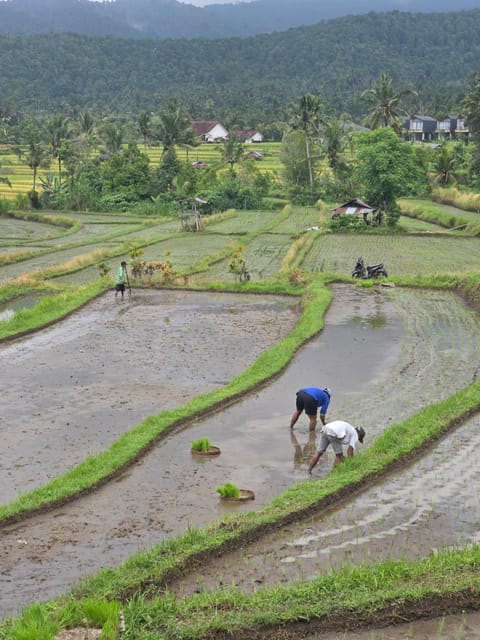 MAYURA BALI VILLA Hotel in Bali