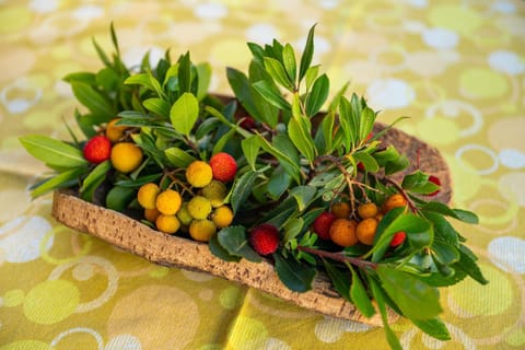 Girasole 2 House in Pula