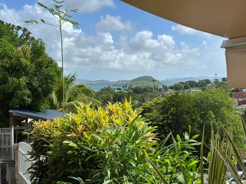 Patio, Garden view