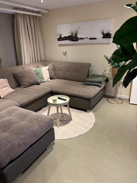 Souterrain aan zee Apartment in Noordwijk