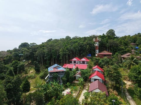 Property building, Spring, Natural landscape, Bird's eye view
