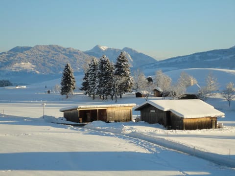Ferienwohnung "Alpenglück" mit Hallenbad Apartment in Oberstdorf