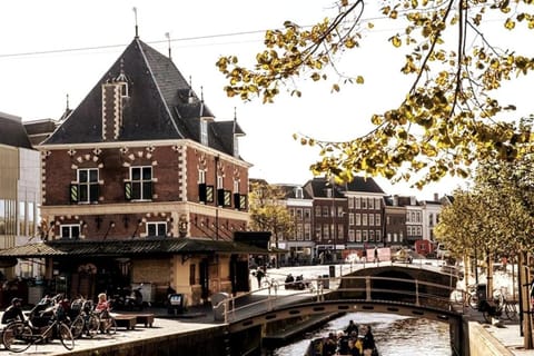 People, City view, Street view, Location