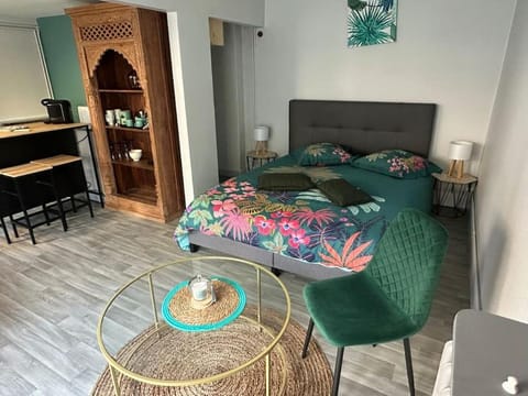 Studio indépendant avec jardin Chalet in Tours