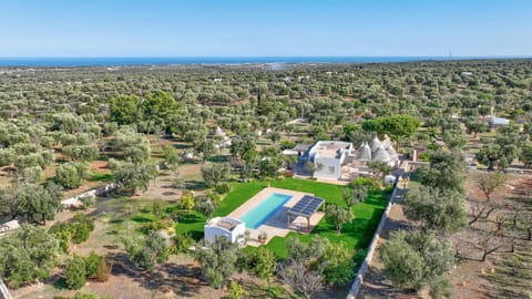 Property building, Day, Natural landscape, Bird's eye view, Garden, Pool view, Swimming pool, Swimming pool