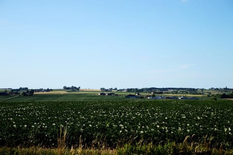 Rozenberghoeve House in Flanders