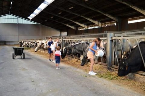 Rozenberghoeve House in Flanders