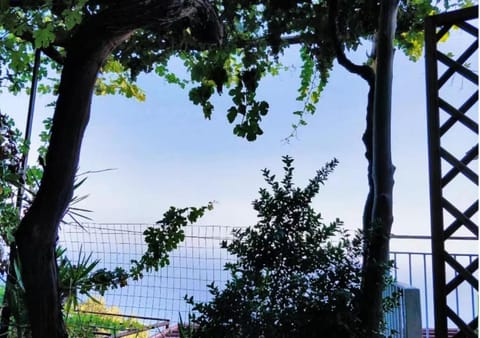 B&b La Vigna Bed and Breakfast in Furore