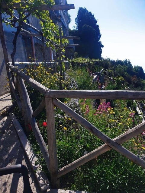 B&b La Vigna Bed and Breakfast in Furore