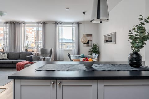 Kitchen or kitchenette, Living room, Dining area