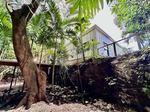 Coconut Grove Mid-Century Jungle Oasis House in Coconut Grove