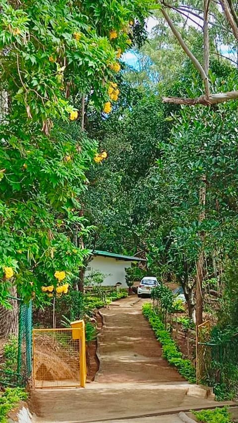 Property building, Spring, Natural landscape, Garden, Garden view, Street view